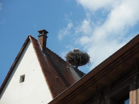 Alsace_072