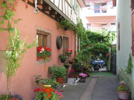 Alsace_078