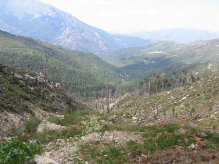 Corse_096