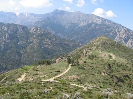 Corse_101
