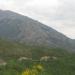 Corse_123