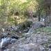 Corse_107