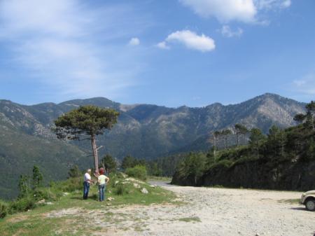 Corse_100