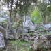 Corse_115