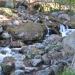 Corse_113