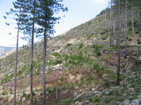 Corse_097