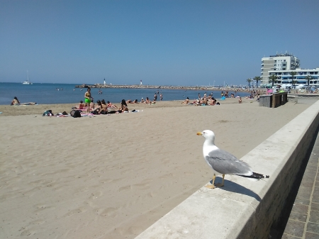 La Camargue