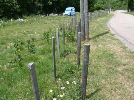 Morvan_074