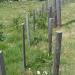 Morvan_074