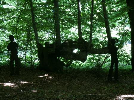 Morvan_061